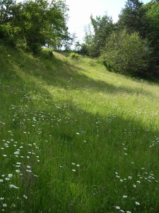 cardio hill