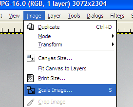 gimp_image_scaleimage (35K)