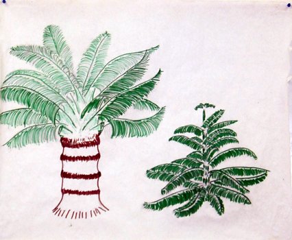 092893cycad (38K)