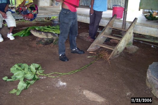 sakau ceremony