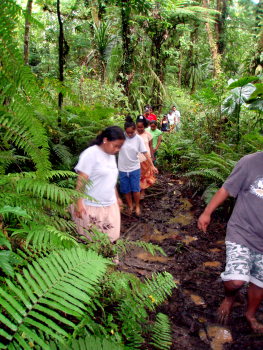 mud walking