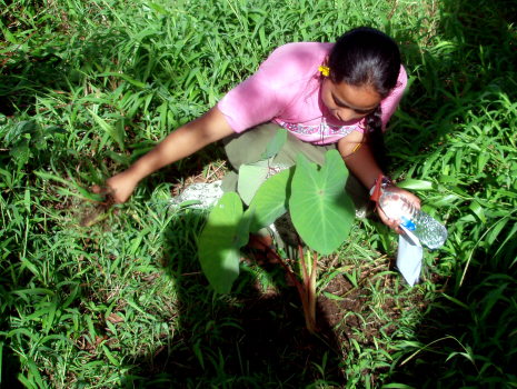 ethnogardening