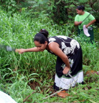 Cleaning the ethnobotanical garden.