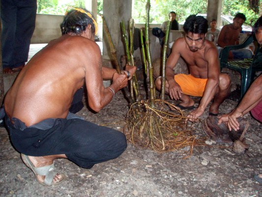 Preparation of sakau