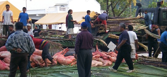 Sugar cane being unloaded