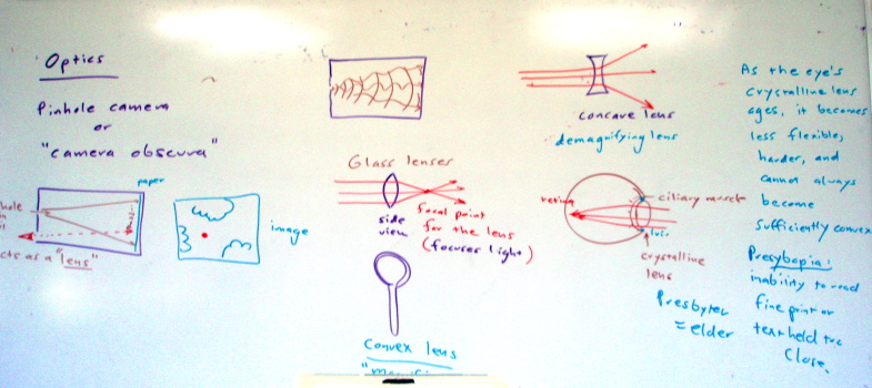 Lens activity white board