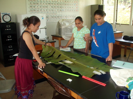 Banana ramp in operation with Greda, Vanessa, and Kaelyn