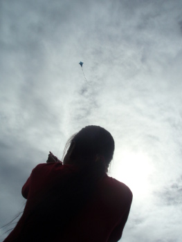 Kite in the afternoon sun