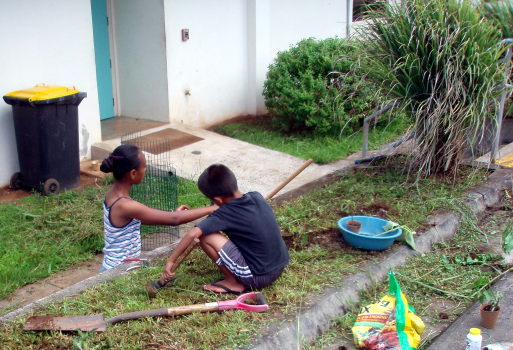 gardeners