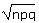 npq.gif (927 bytes)