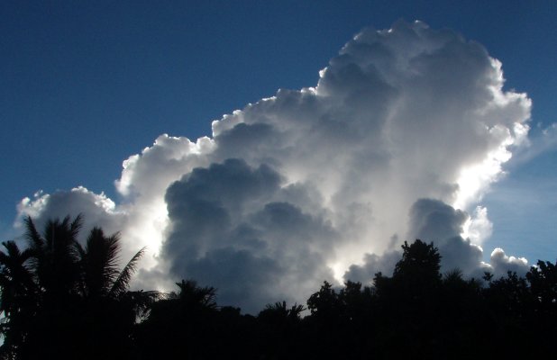 200710082cumulus_congestus