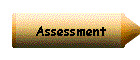 Assessment