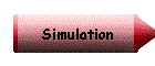 Simulation