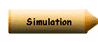 Simulation