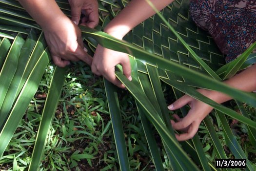 palm frond mat