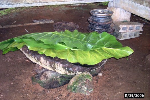 sakau ceremony