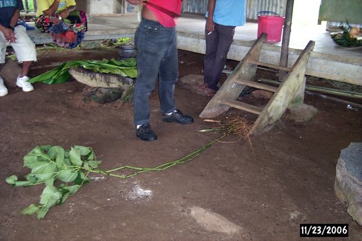 sakau ceremony