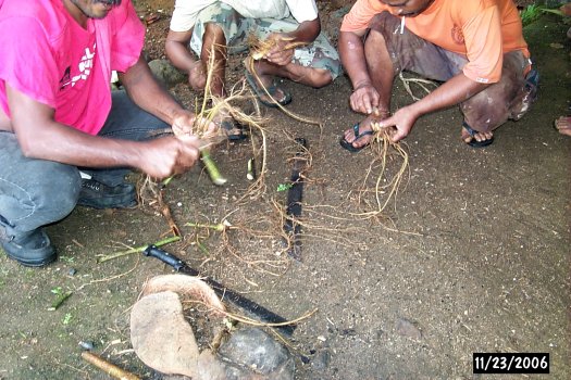 sakau ceremony