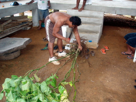 justin cuts the sakau