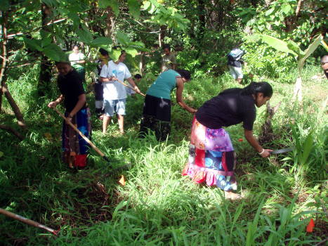 garden-clean-up