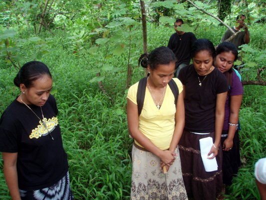 observing plants