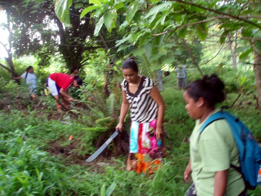 Cleaning the ethnobotanical garden.