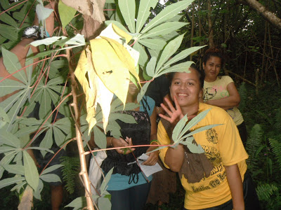 leaf shape: palmate