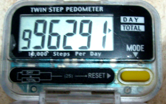 The who pedometer is substantial enought to survive a million or more steps