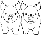 Young pig pair