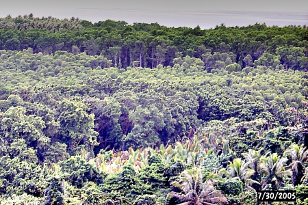 Retinex processed image reveals location of mangrove channel.