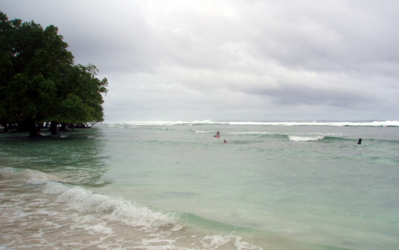 reef view 01/04/08 04:50 PM reef view 01/04/08 04:50 PM