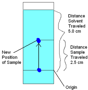 The solvent travels further up the filter paper than the sample pigment