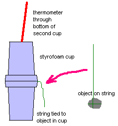 Specific Heat Capacity laboratory