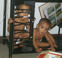 Marlin and Shanalin like to climb into the television system shelves!