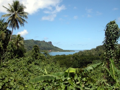 Sokeh's Harbor Pohnpei