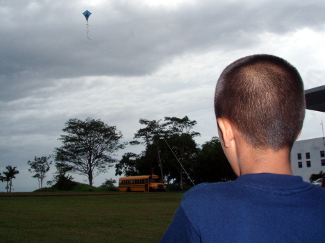 A boy and his kite