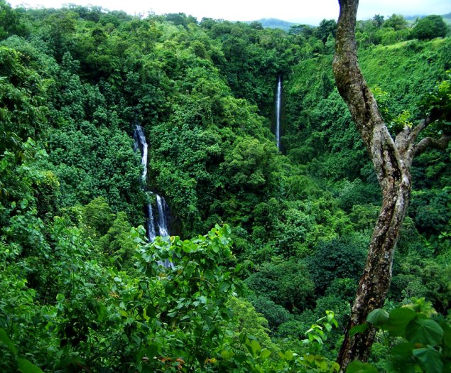 Twin waterfalls. The girls and Dana had visited the left fall, Sawarlap, late in September