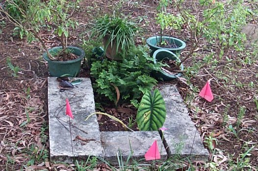 Grave at Haruki cemetery on Pohnpei