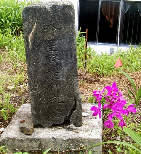 Hoshino Noritake