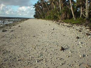 Along the beach at Piyuul