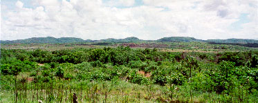 Gagil-Tamil Panorama