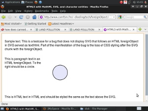 Image of page correctly rendered in FireFox 3.6.3 on Xubuntu 10.04