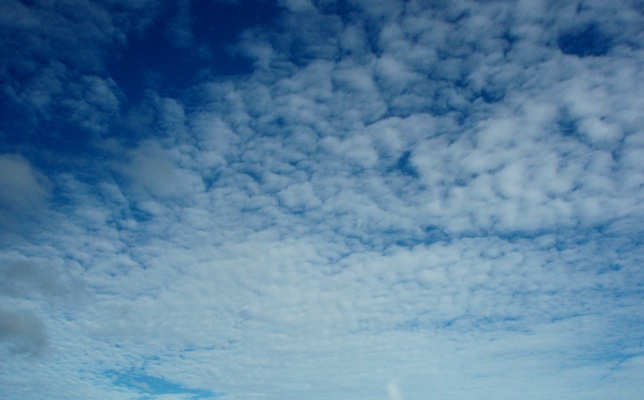 altocumulus