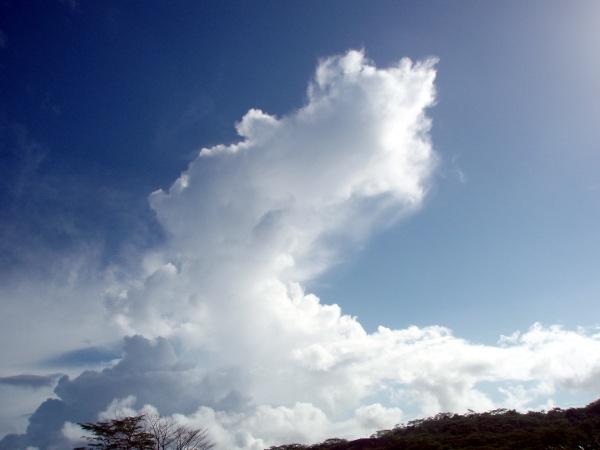 Cumulus castellanus