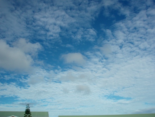 altocumulus