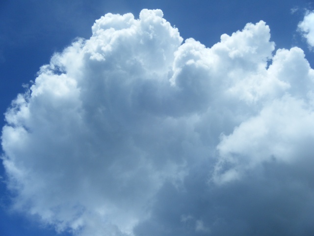 Cumulus congestus