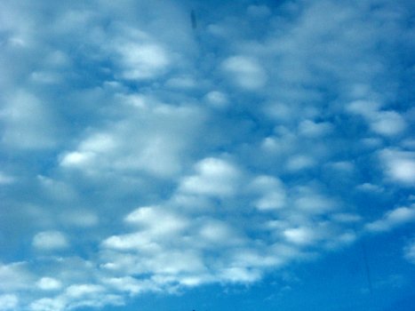 altocumulus clouds