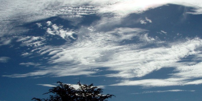 cirrus clouds