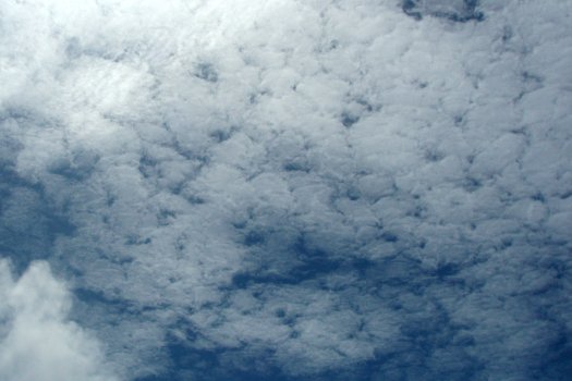 altocumulus clouds