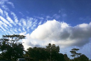 Altocumulus and swelling cumulus 27 Jan 2000.